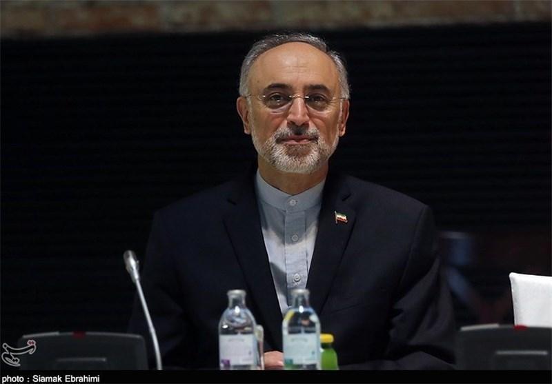 صالحی: ایران و چین در ساخت نیروگاه های هسته ای همکاری می نمایند