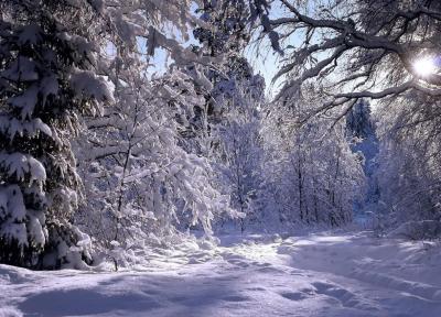 سپید پوش شدن مناطق کوهستانی گیلان، دریا فردا با احتیاط برای صیادی مناسب است