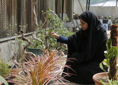 ویزیت گیاهان بیمار در کلینیک گل و گیاه سی بویه