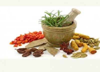 این غذاها باعث تقویت سیستم ایمنی بدن می شود