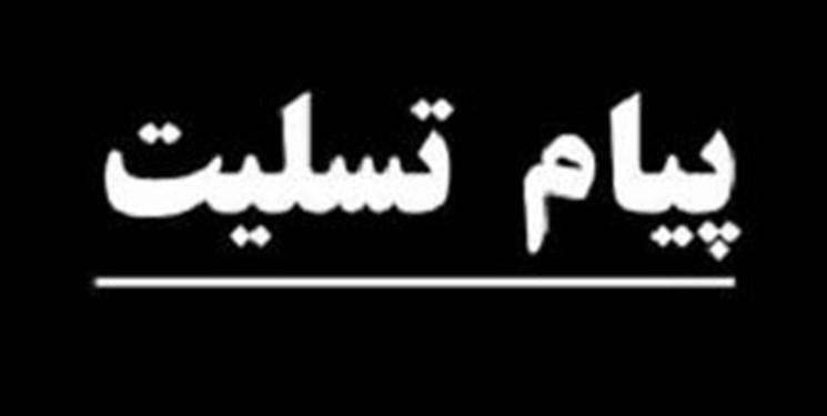 وزیر علوم درگذشت سیدمحمد کاظم نائینی را تسلیت گفت