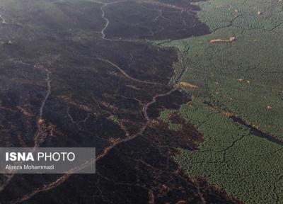 آتش، دامن هور را هم می گیرد؟