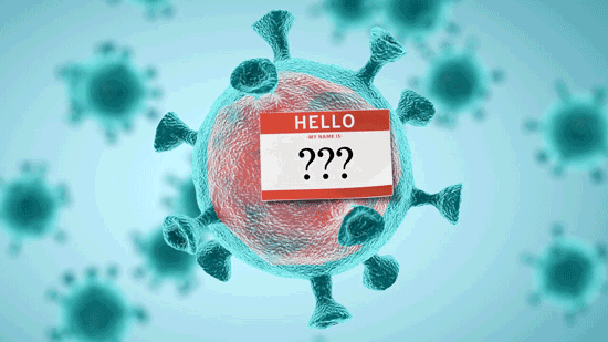 ویروس ها چگونه نام گذاری شدند؟
