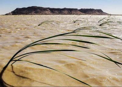 سومین مرحله از حق آبه تالاب هامون از محل چاه نیمه یک سیستان وارد تالاب شد