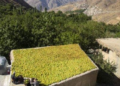 روستایی 1000 ساله در روزهای طلایی
