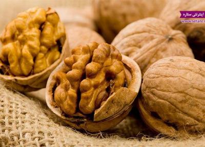 خواص گردو - گردو سرشار از چربی خوب!