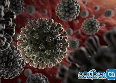 آنچه دانشمندان در خصوص کروناویروس جدید می دانند