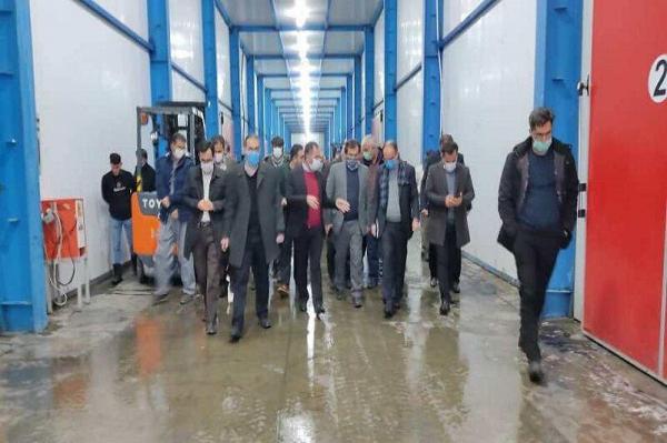 خبرنگاران معاون وزیر جهاد کشاورزی: مشکل صادرات سیب رفع می گردد
