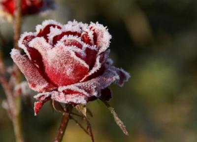 30 متن زمستانی عاشقانه و بی نظیر برای روز های برفی