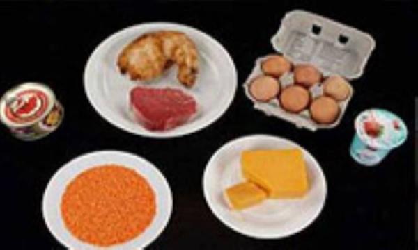 خوراک مغز شما اینهاست خوراک مغز شما اینهاست
