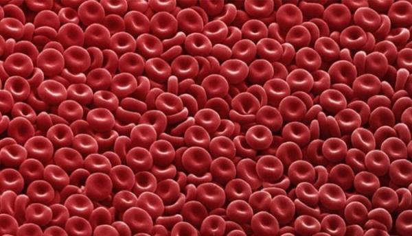 همه چیز راجع به پلی سیتمی یا افزایش گلبول های قرمز خون
