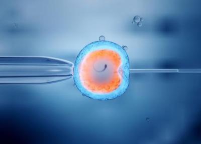 پاسخ به سوالی مهم به وسیله ژنتیک دان ها: چرا IVF انجام می دهیم اما نتیجه بخش نیست؟
