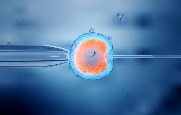 پاسخ به سوالی مهم به وسیله ژنتیک دان ها: چرا IVF انجام می دهیم اما نتیجه بخش نیست؟