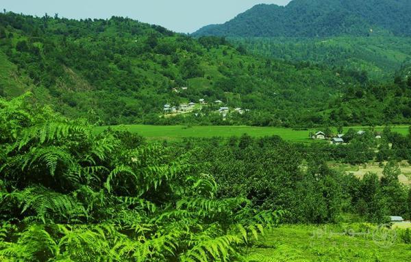 دیلمان؛ سفری به دروازه تاریخ تمدن شمال ایران